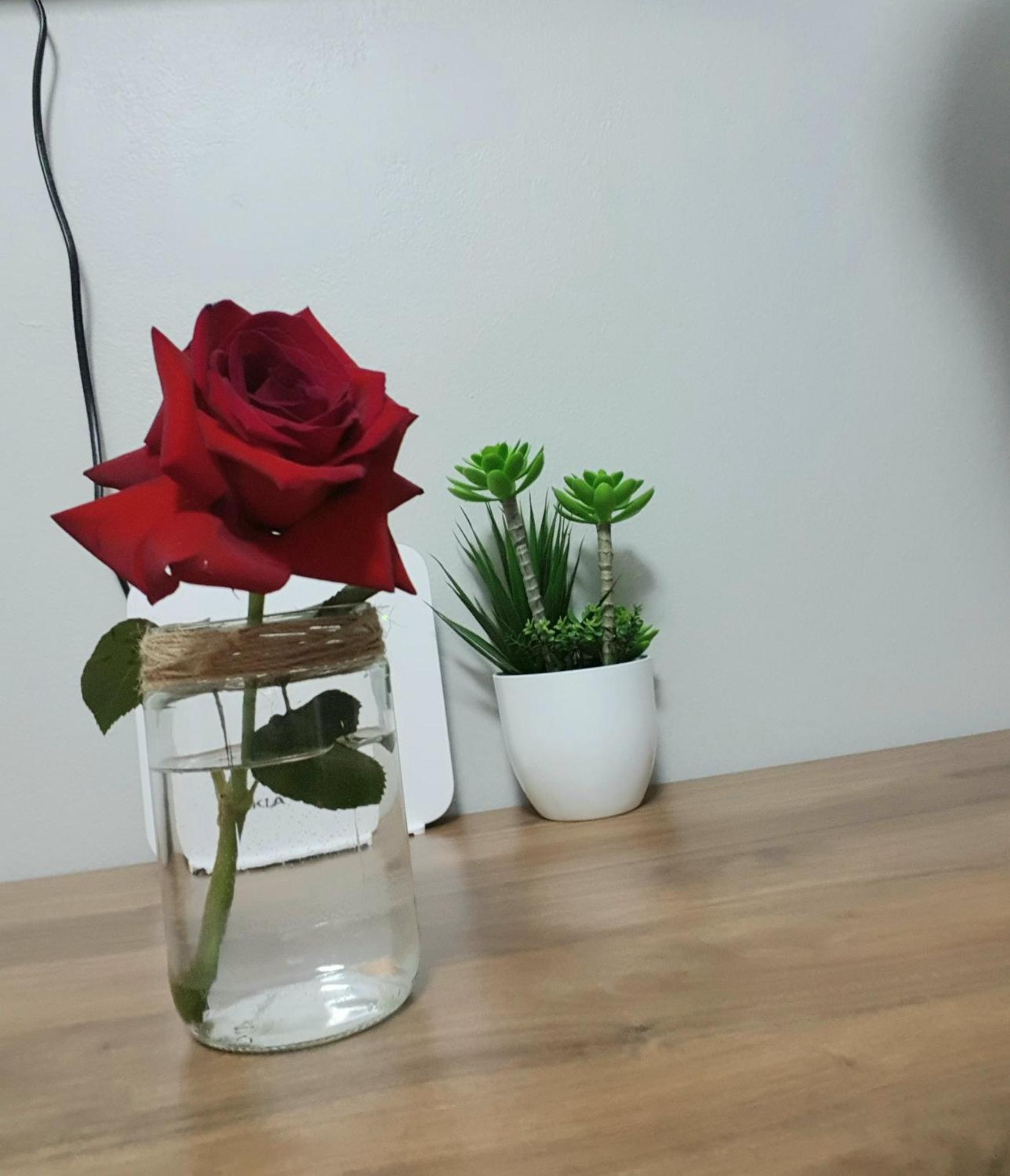 Nevila'S Apartment ティラナ エクステリア 写真